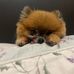 Jodi Spencer - Facebook