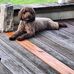 Jutta Spitzer - Facebook