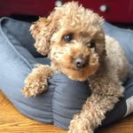 Jodi Babbitt Sprague - @jodibabbittsprague - Instagram