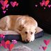 Jodi Sprague - Facebook