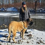 Jodi B. Stack - @jodi_b_stack - Instagram