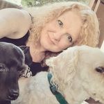 Jodi Stack Liggett - @jodistackliggett - Instagram
