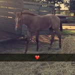 jodie_stacy - @jodie_761 - Instagram