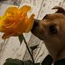 Jodie Starks - Facebook
