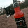 Jody Stahl58 - @jodystahl58 - TikTok