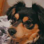 Jody Stahl - @jody_stahl_ - Instagram