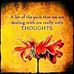 Jodi Stanfield - Facebook