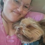 Jodi M Stanton - @idreaminlayers - Instagram