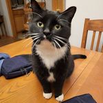 Jody Starkey - @mollywheezer - Instagram