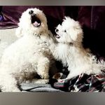 Jodi Steele - @jodkapitator11 - Instagram