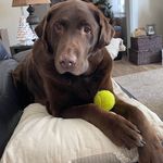 Jodi Steen Kuss - @jkhpygrndma - Instagram