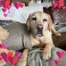 Jodi Stein - Facebook
