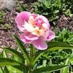 Jodi Stein Finstad - @jfins57 - Instagram