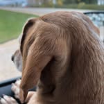 Jodi Steinbachs - @jodisteinbachs - Instagram