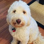 jodi steinberg - @jsteinberg21 - Instagram