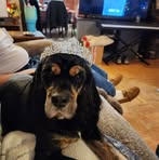 Jodi Harris-Stephenson - Facebook