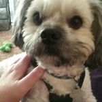 jodi stevens - @jodistevens1964 - Instagram