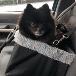 Jodi Evans Stevenson - @jodistevenson6126 - Instagram