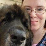 Jodi Stevenson - @treasuredpaws - Instagram