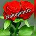 Steve Jitu - Facebook