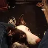 Jody Stiles - @jody.stiles6 - TikTok