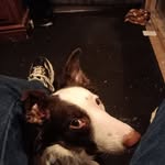 Jody Stiles - @stiles3168 - Instagram