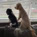 Jodi Stoner - Facebook