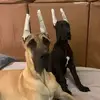 Jodi Stratton751 - @jodistratton6 - TikTok