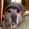 jodiestrohl - @jodiestrohl - TikTok