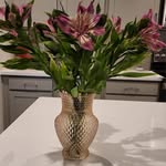 Jodi Strong - @jodims5 - Instagram