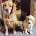 Jodi Stuart - Facebook