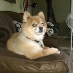 Jody Bandy Stultz - @jbandystultz - Instagram