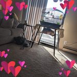 Jodi Stump - @jodi.stump - Instagram