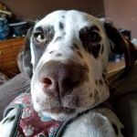 Jody Stump - @jodymoehling - Instagram