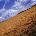 Jodi Sullivan - @inmycameralens - Instagram