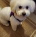 Jodi Sullivan - Facebook