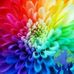 Jodi Sullivan - Facebook