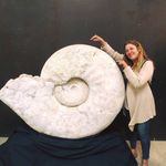 Jodi Summers - @samojojo - Instagram