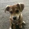jodisutter - @jodisutter1 - TikTok