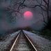 Jodi Lea Swain - Facebook