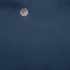 Jodi Swartz - @jodis.qq - TikTok