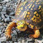 Jodi Sweeney - @mothershipto6 - Instagram