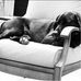 Jodi Sweeney - Facebook