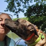 Jodi Sweeney - @moshithefineyounglass - Instagram