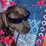 Jodi Sweet - @jodisweet01 - Instagram