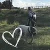 Jodi Sweet - @jodisweet0 - TikTok
