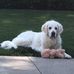 Jodi Swaim - Facebook