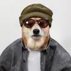 Jodie Tanner - @jodie.tanner76 - TikTok