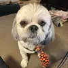 Jodi Tanner Nilsson - @jodi.tanner.nilsso - TikTok