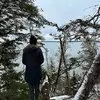 Jodie Tanner - @jodie.tanner8 - TikTok